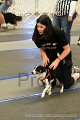 IMG_0714