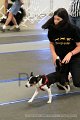 IMG_0715