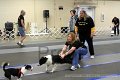 IMG_0719