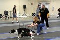 IMG_0720