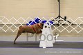 IMG_0721