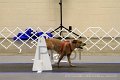 IMG_0722