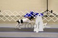 IMG_0723