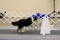 IMG_0725