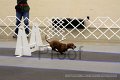 IMG_0727