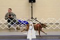 IMG_0734