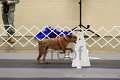 IMG_0735