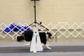IMG_0741