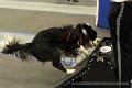 IMG_0757