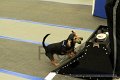 IMG_0758