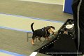 IMG_0759