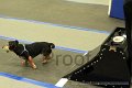 IMG_0761