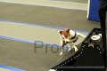 IMG_0765