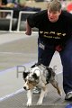 IMG_0821