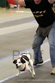 IMG_0825