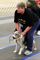 IMG_0826