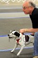 IMG_0831