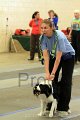 IMG_0833