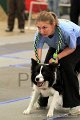 IMG_0835