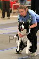 IMG_0837