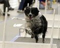 IMG_0843