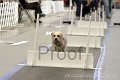 IMG_0844