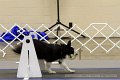IMG_0856