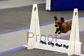 IMG_0859