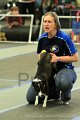 IMG_0874