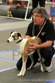 IMG_0876