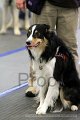 IMG_0887
