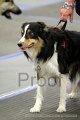 IMG_0896