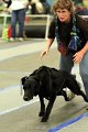 IMG_0898