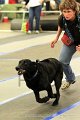 IMG_0899