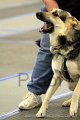 IMG_0900