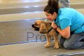 IMG_0910