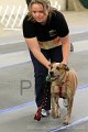 IMG_0922