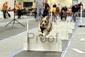 IMG_0935
