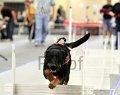 IMG_0939