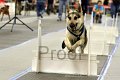 IMG_1025