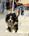 IMG_1027