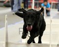 IMG_1028