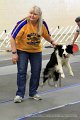 IMG_1032