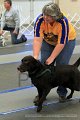 IMG_1033