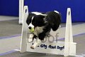 IMG_1038