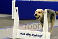 IMG_1039