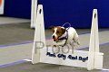 IMG_1042