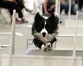IMG_1049