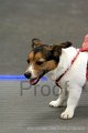 IMG_1059