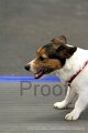 IMG_1060